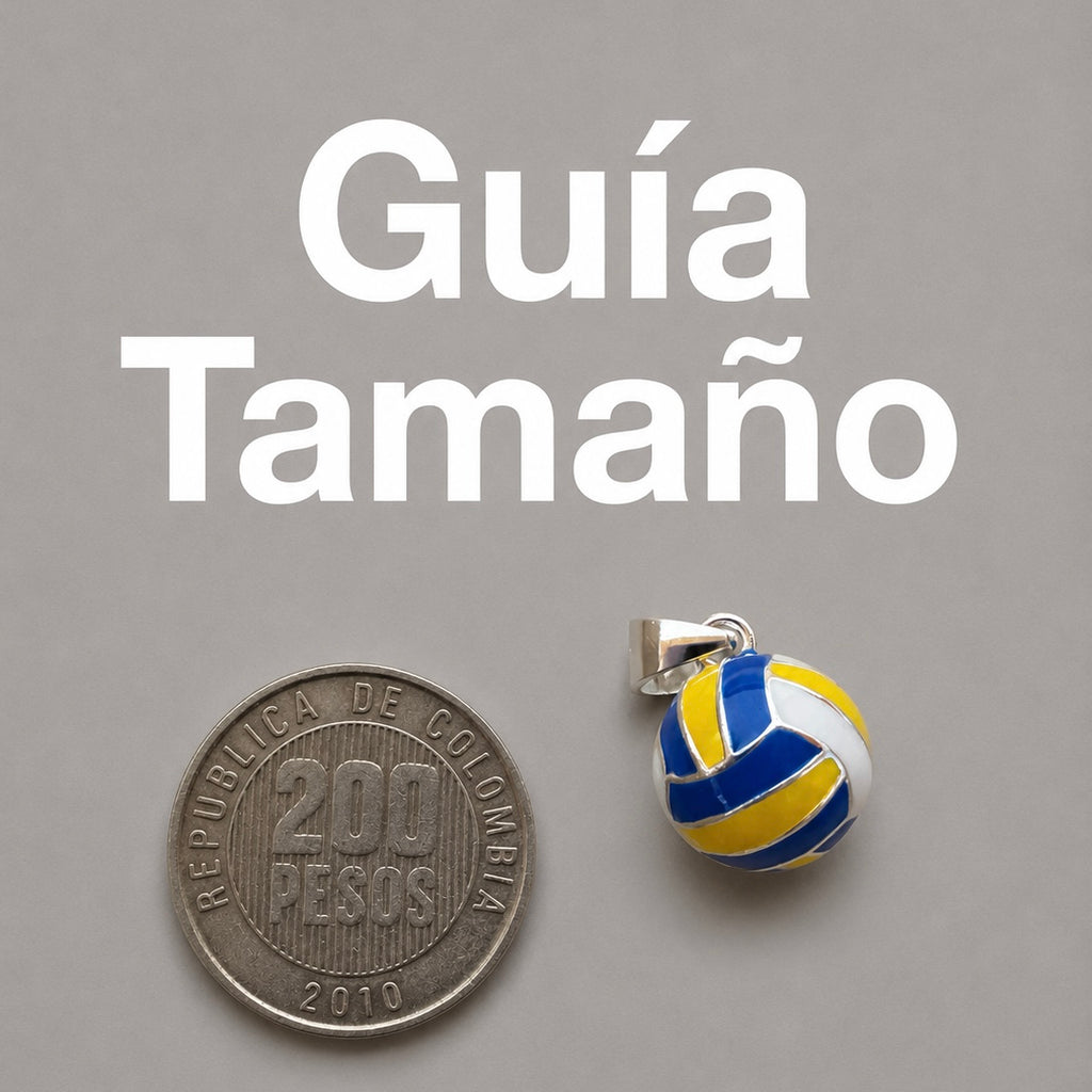 Dij. Balón Voleibol